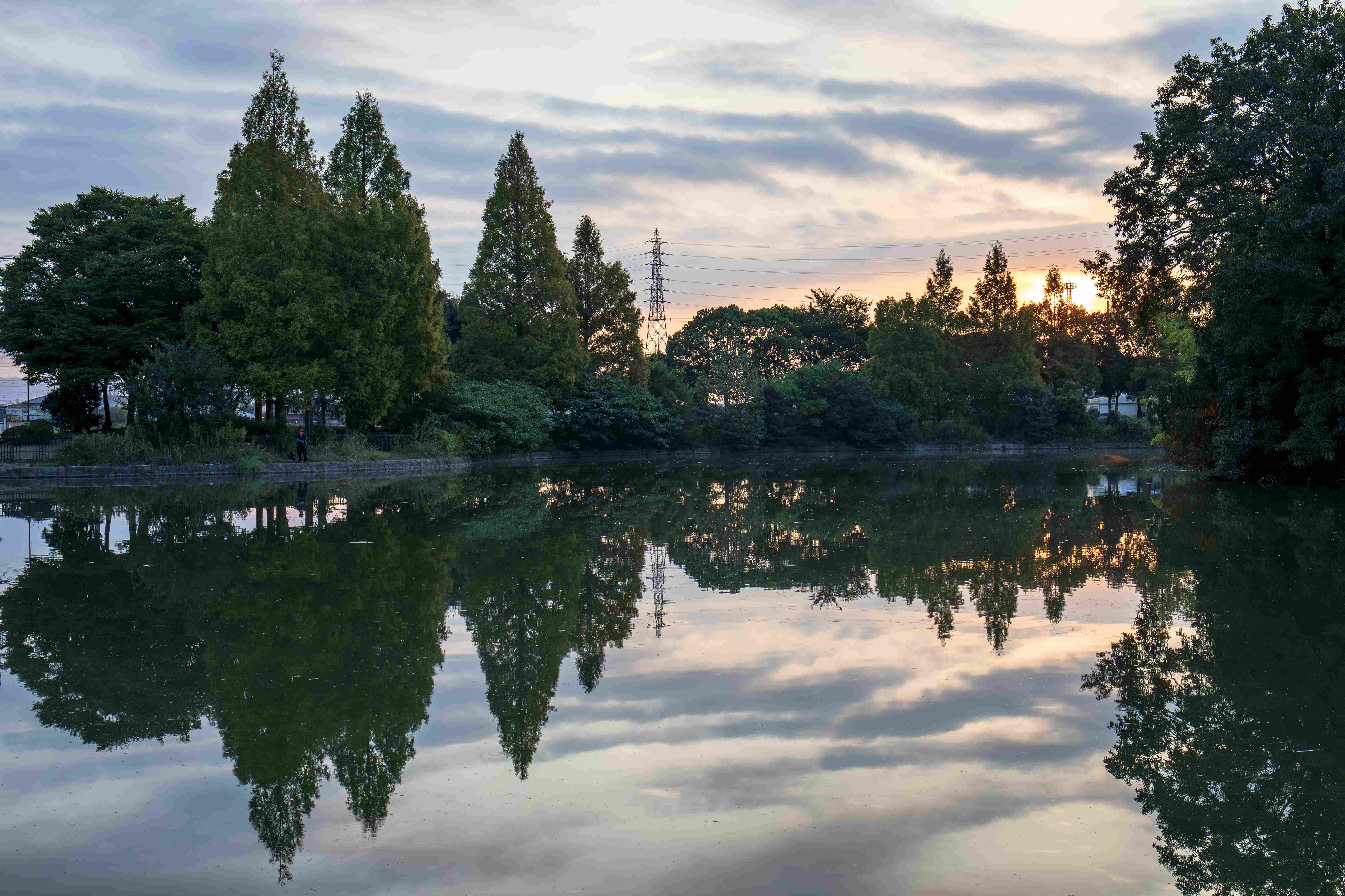🌳 오이즈미 녹지(오이즈미료쿠치) 이미지 7